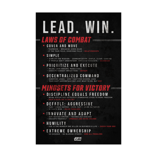 Poster - Laws and Mindsets